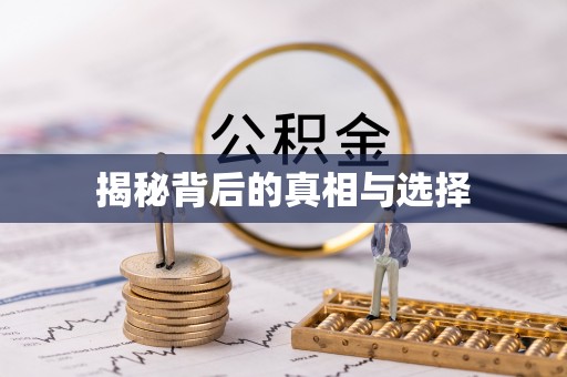 寒亭揭秘背后的真相与选择