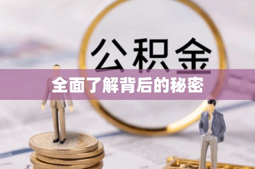 寒亭全面了解背后的秘密