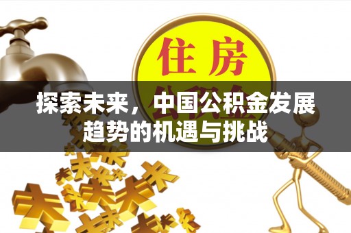 寒亭探索未来，中国公积金发展趋势的机遇与挑战