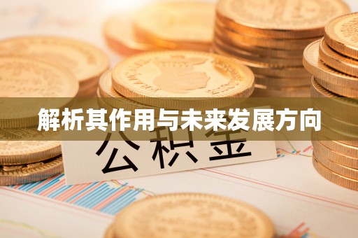 寒亭解析其作用与未来发展方向