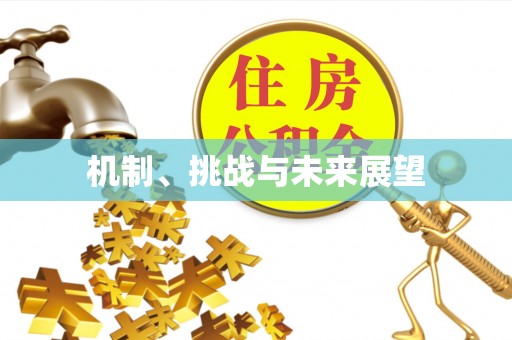 寒亭机制、挑战与未来展望
