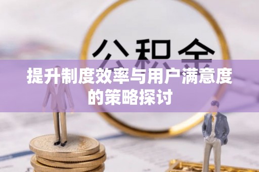 寒亭提升制度效率与用户满意度的策略探讨